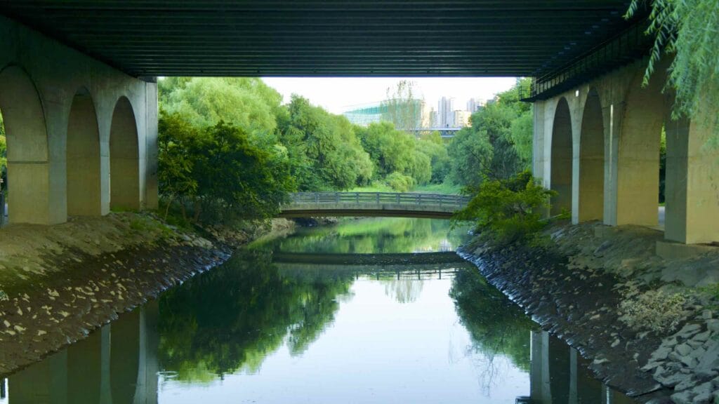 A picture of Saet Stream Ecological Park (샛강생태공원) along the Saet Stream on Yeouido Island in Seoul, South Korea.