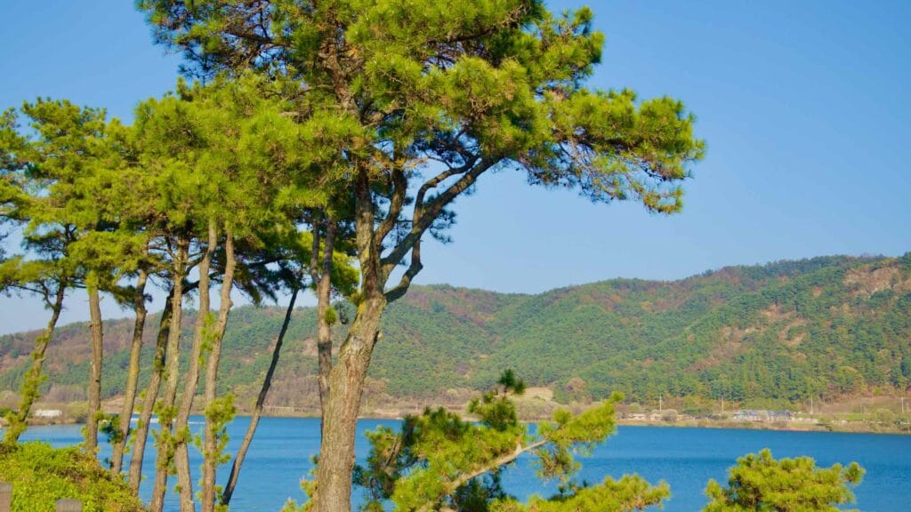 Gyeongcheon Island Park