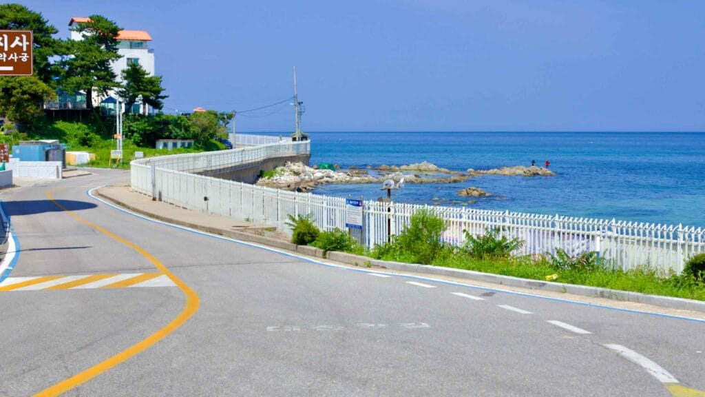 The winding seaside road at Daejin Port, bordered by a white fence separating it from the East Sea.