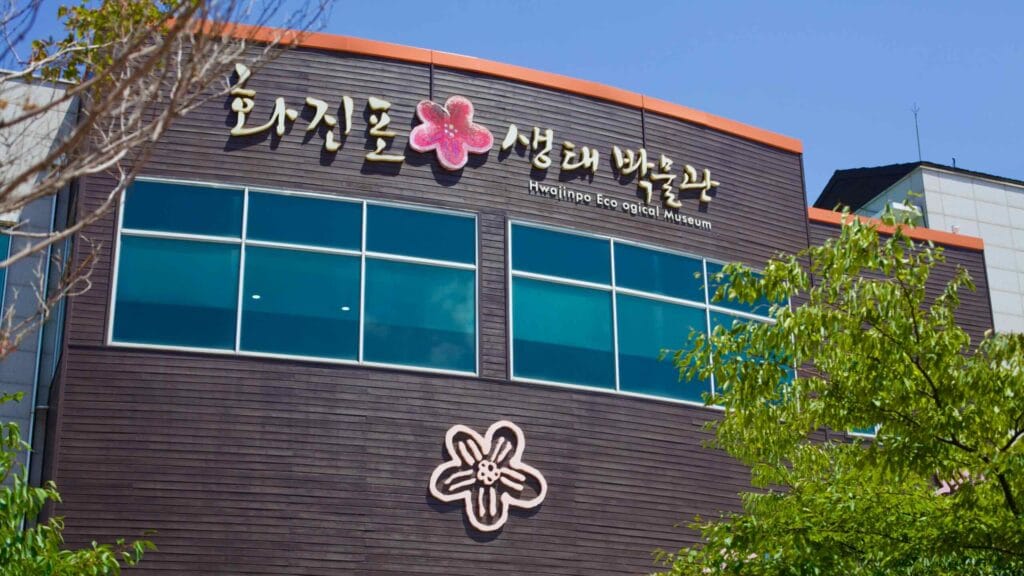 The Hwajinpo Ecological Museum, marked by a distinctive flower symbol and signage on its wood-paneled exterior, preserves its unique natural and historical heritage.