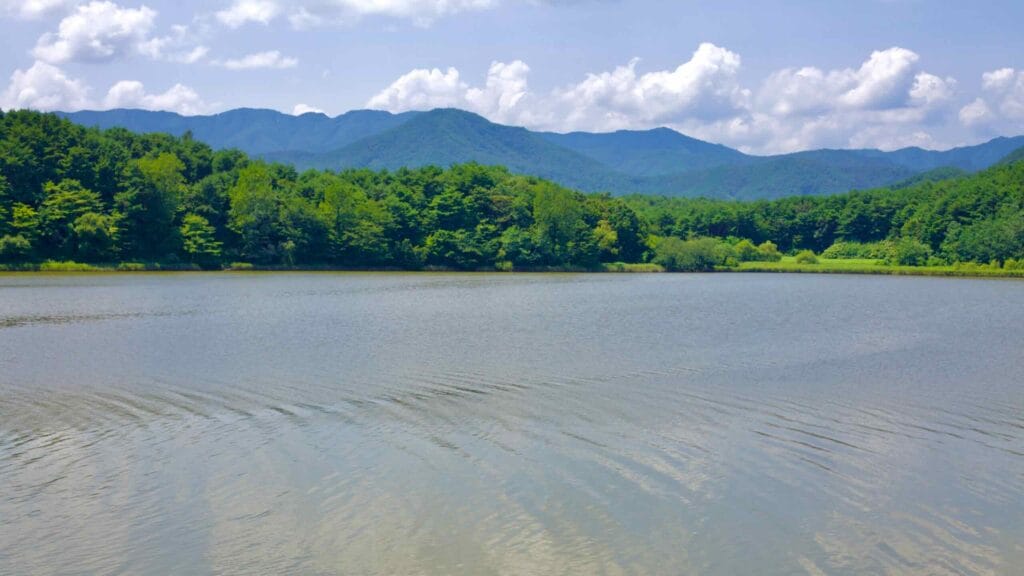 A summer day at Hwajinpo Lake, where calm waters reflect the lush greenery of trees.
