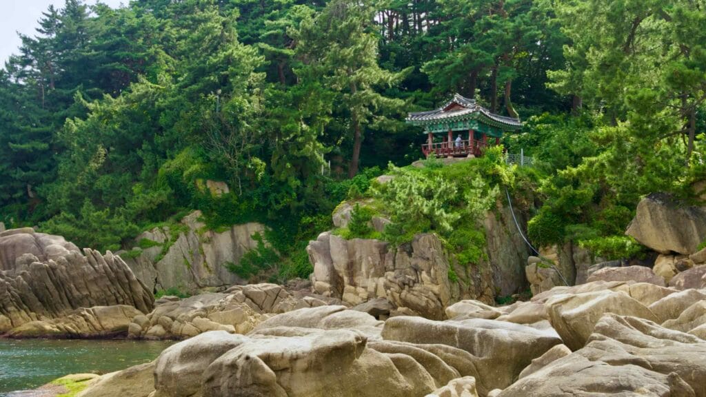 harmony with nature