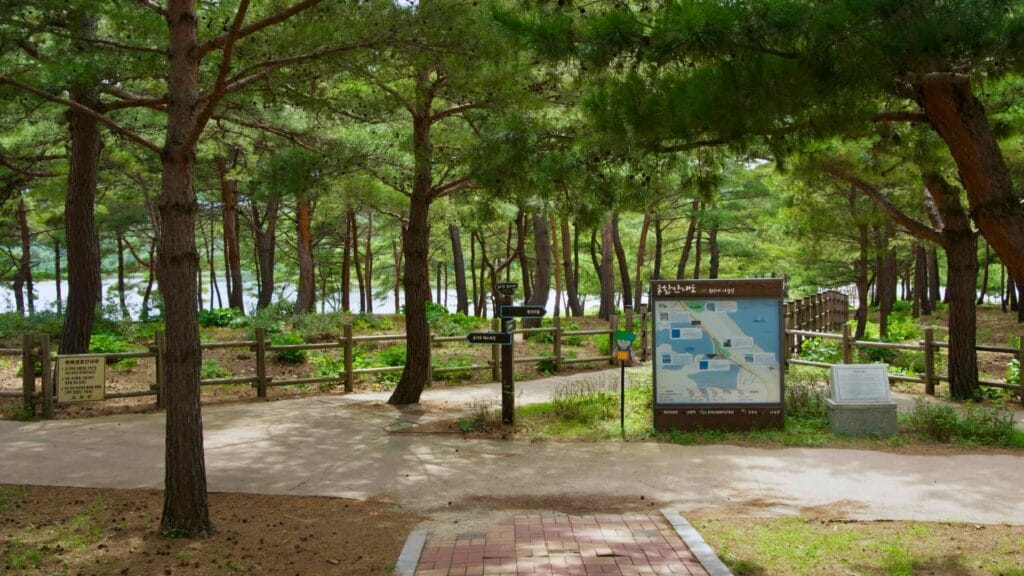 wooded area