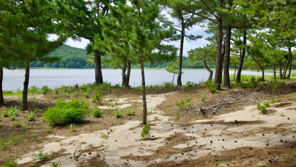 Songji Lake