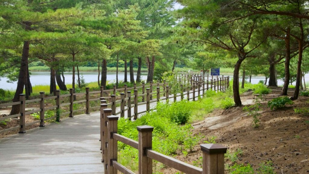 Songji Lake
