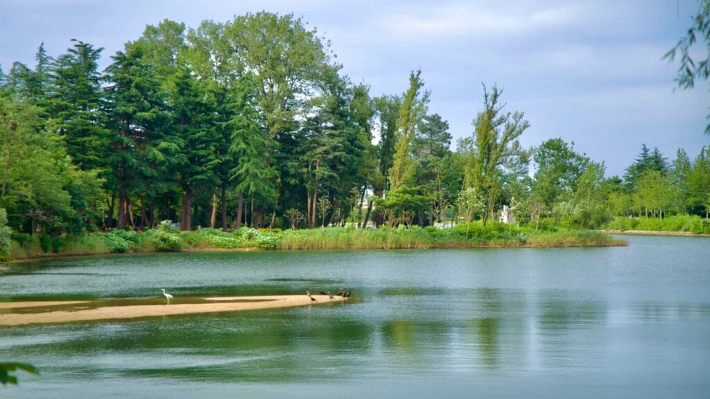 islet