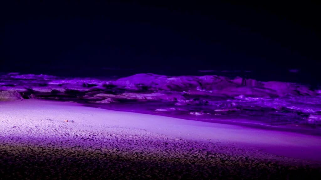Ayajin Beach's rocky shoreline and sandy stretch glow under purple lights.