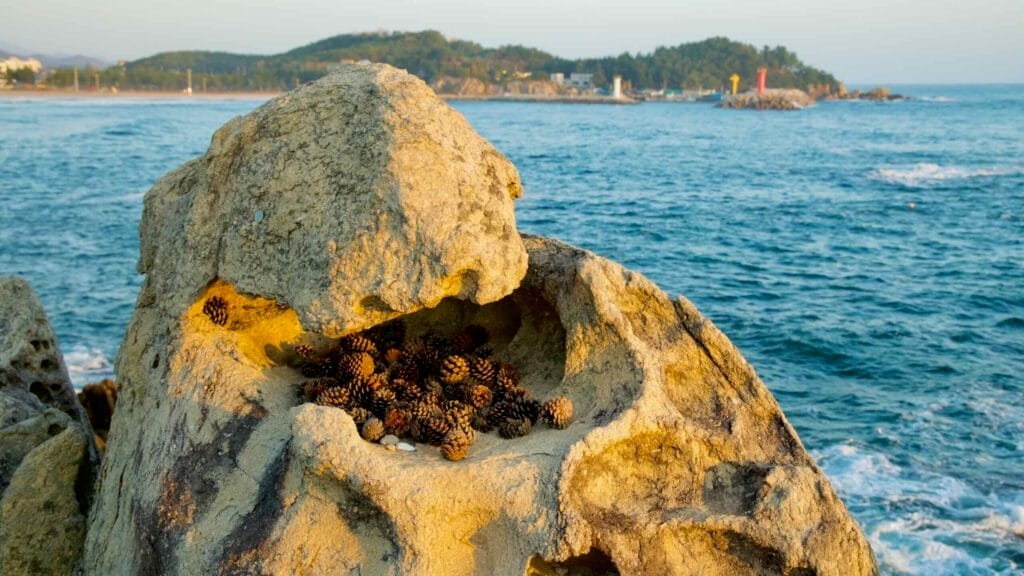 beachcombing