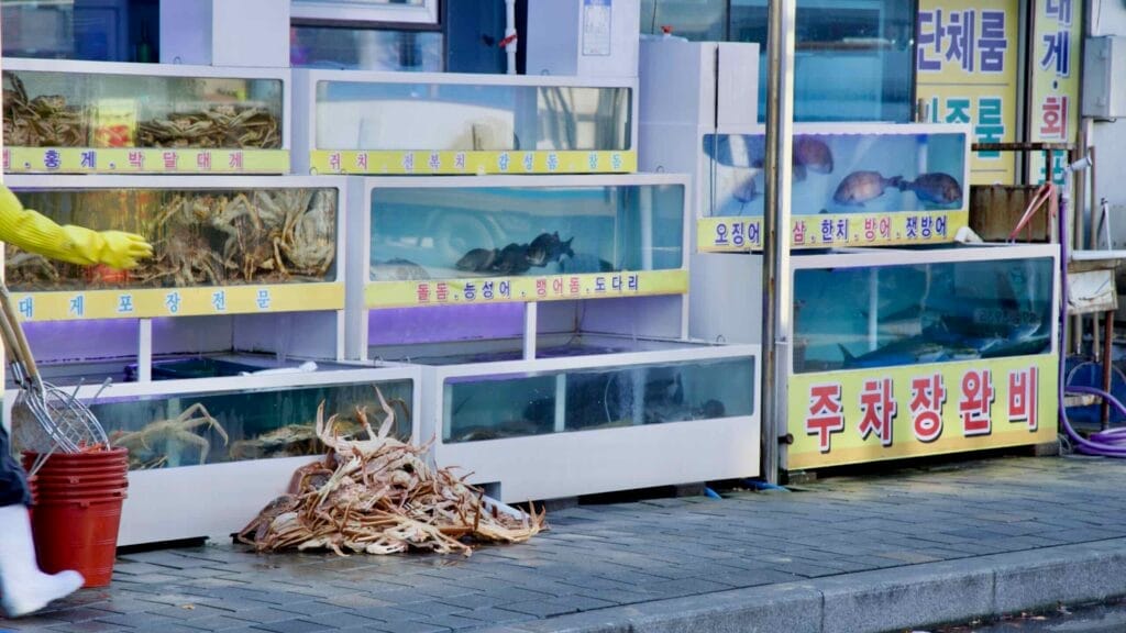 crab