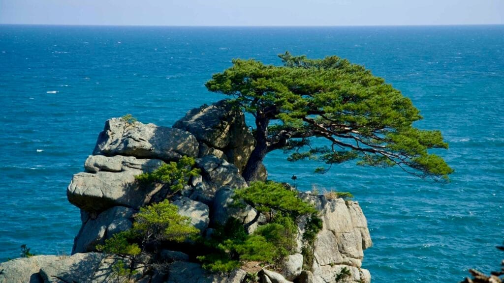 coastline