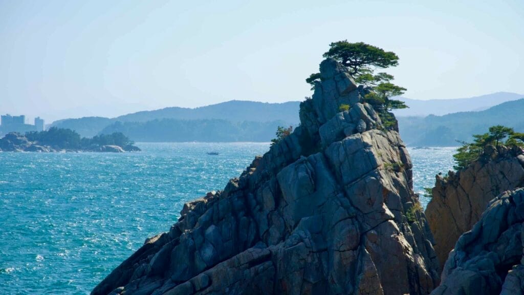 The iconic Hajodae pine tree stands atop a dramatic rocky peak, framed by the East Sea and distant hills as seen from Gisamun Lighthouse.