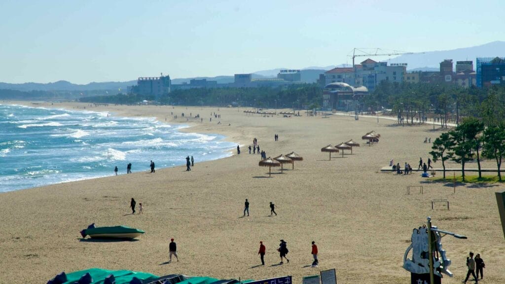 beach