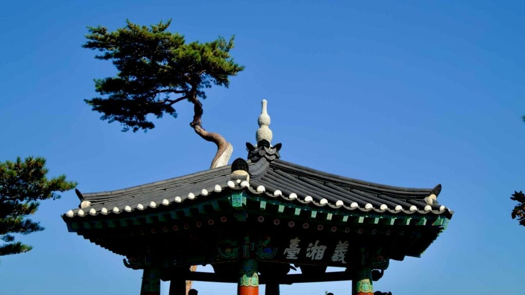 The elegant Uisangdae Pavilion roof at Naksansa Temple, framed by a uniquely shaped pine tree, stands out under a vibrant clear blue sky.