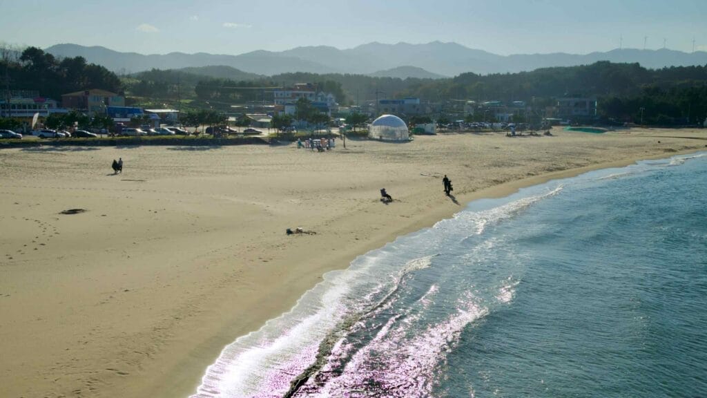 beach