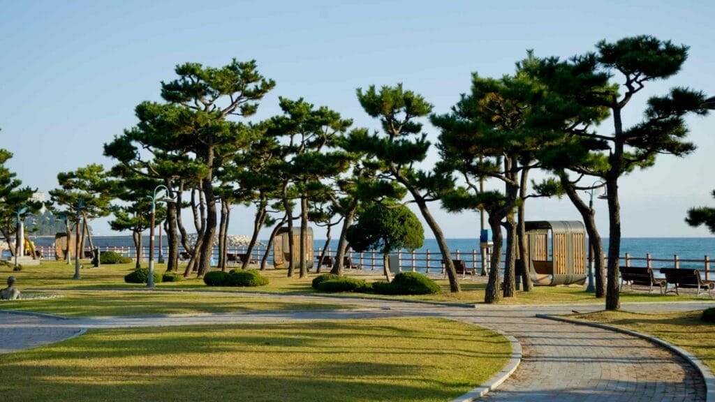 coastline