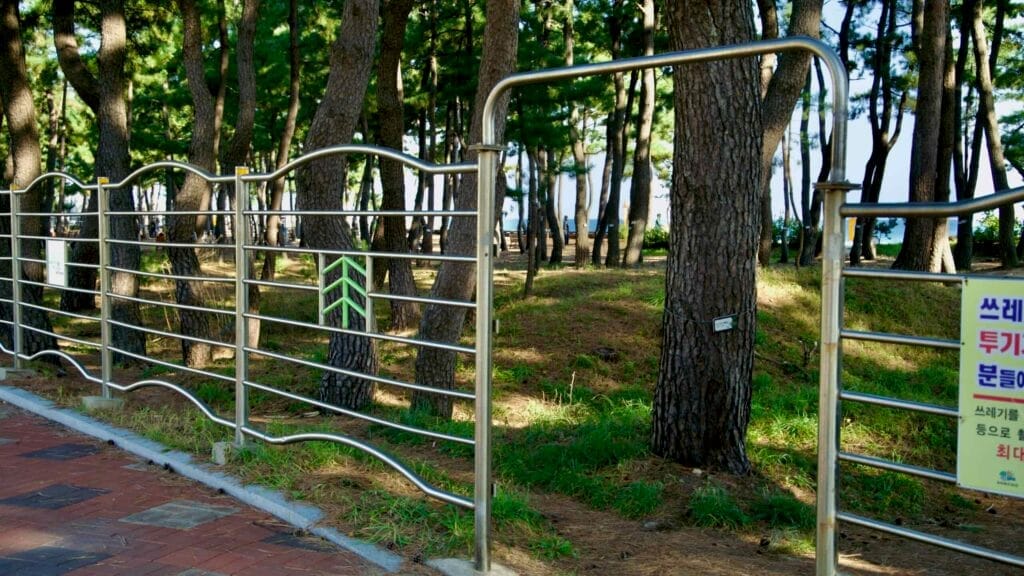 forested area