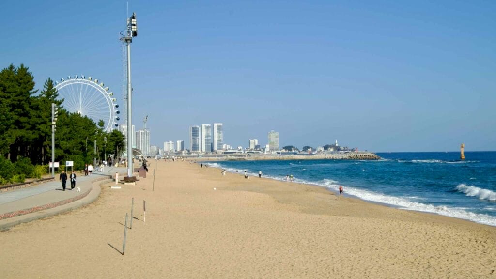 A panoramic view of Sokcho Beach with its sandy shore, Sokcho Eye Ferris wheel, and the modern city skyline in the distance under a clear blue sky.
