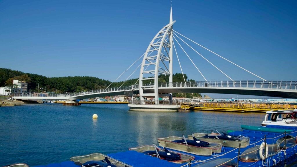 A view of the Susan Port Pedestrian Bridge with docked paddle boats in the foreground, set against calm waters and a clear blue sky.