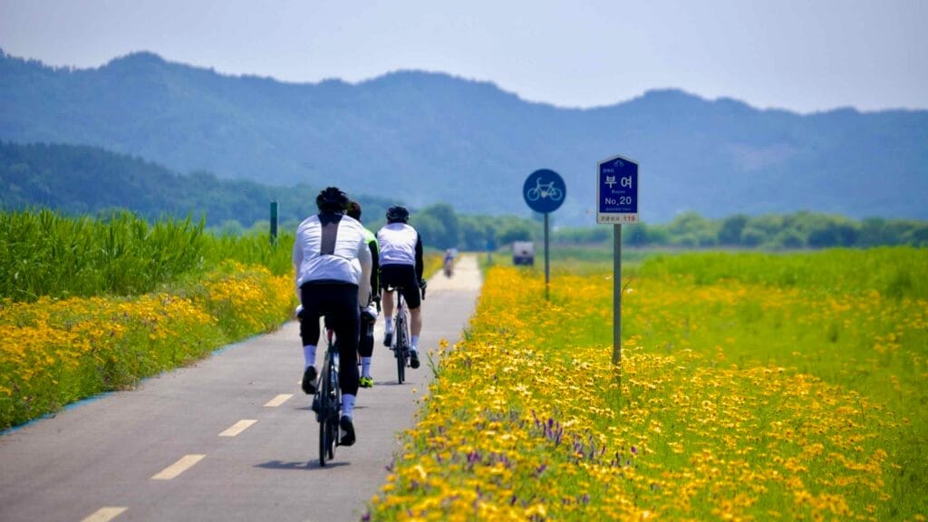 wildflowers