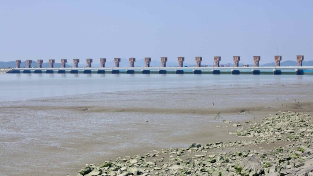 estuarine system