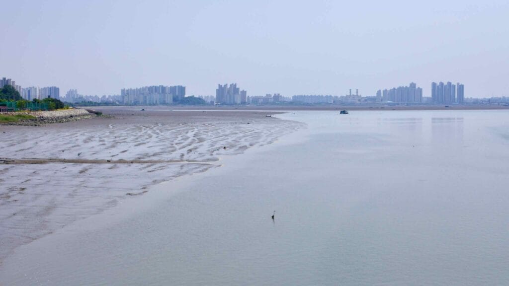 The Geum River reaches its final stretch, merging with the Yellow Sea near Gunsan City.