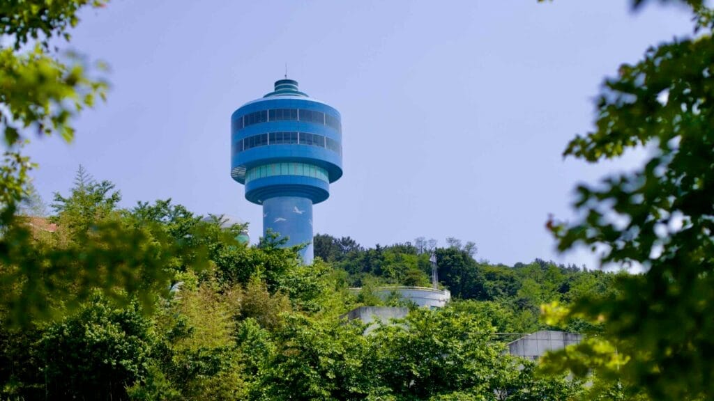 avian habitat