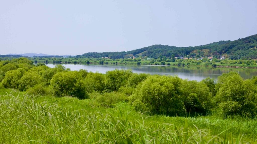 riverscape