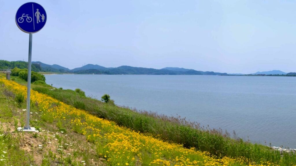 A designated cycling and pedestrian path runs alongside the Geum River, bordered by bright yellow