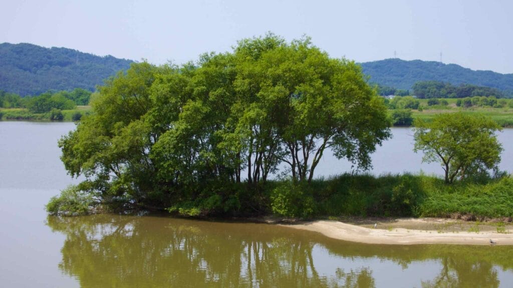 riverscape