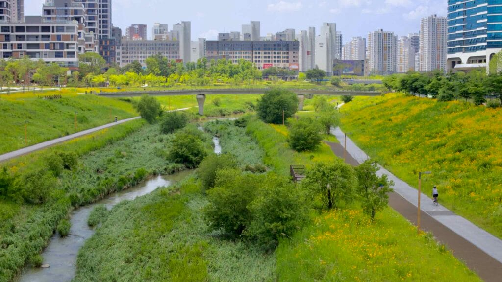 city planning