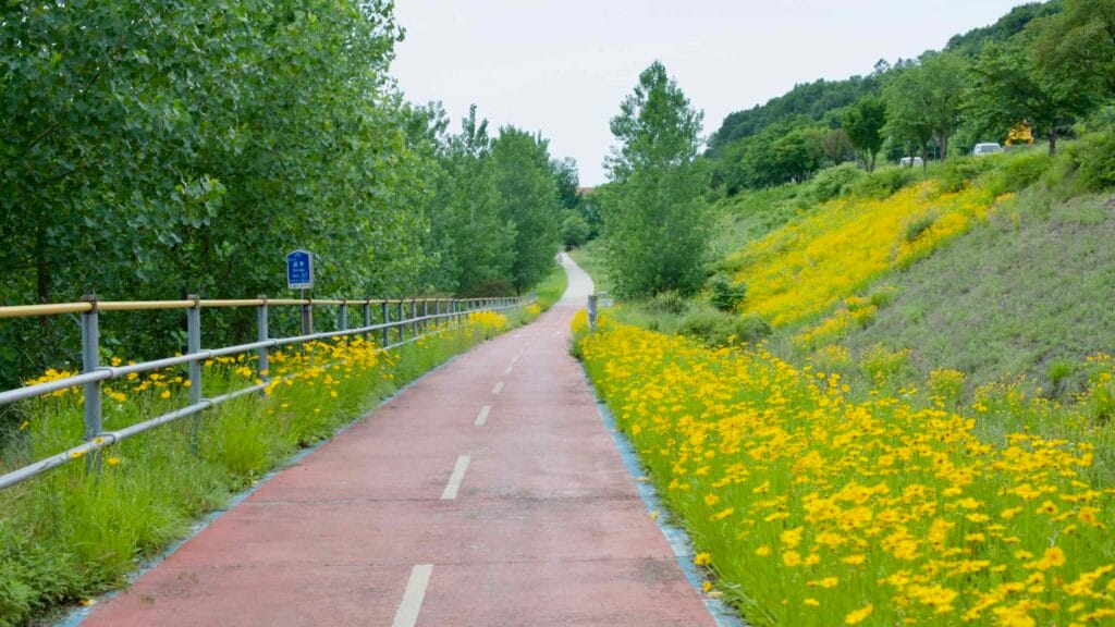 blooming flowers
