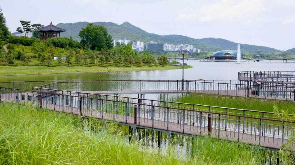 wetlands