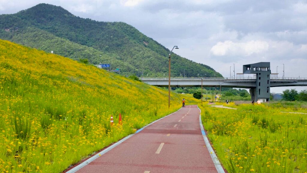pedestrian walkway