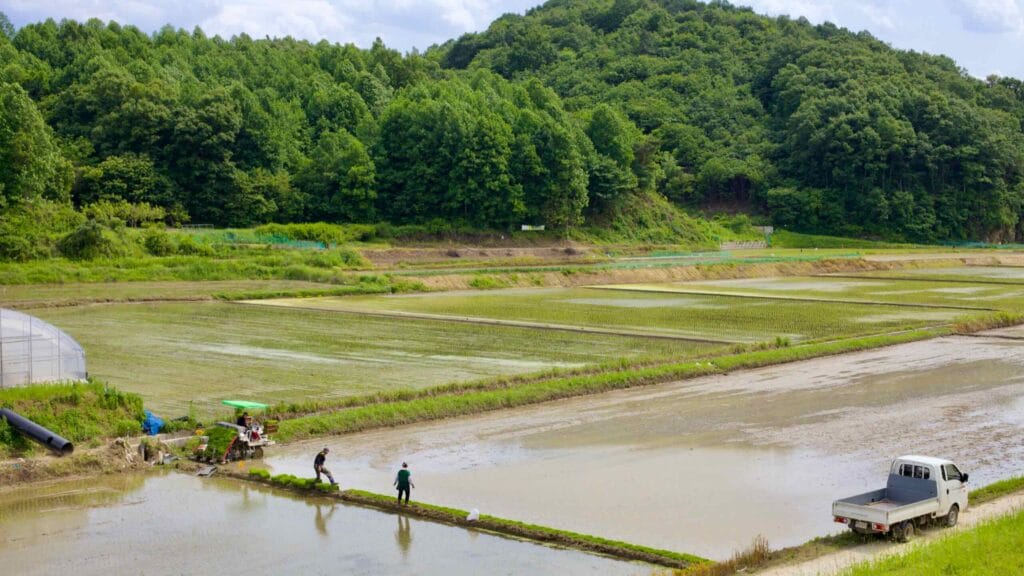 agricultural work