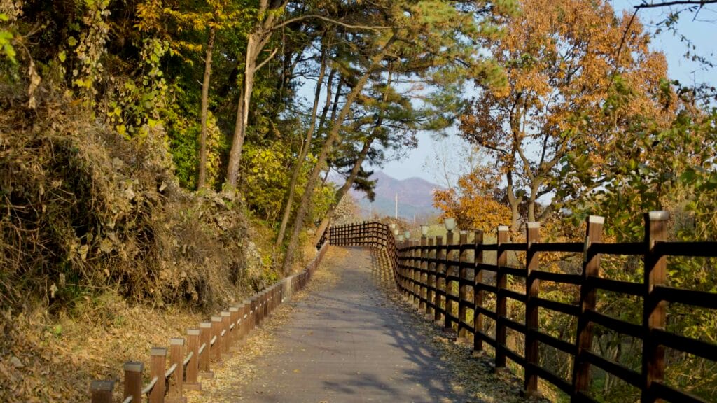 outdoor lifestyle