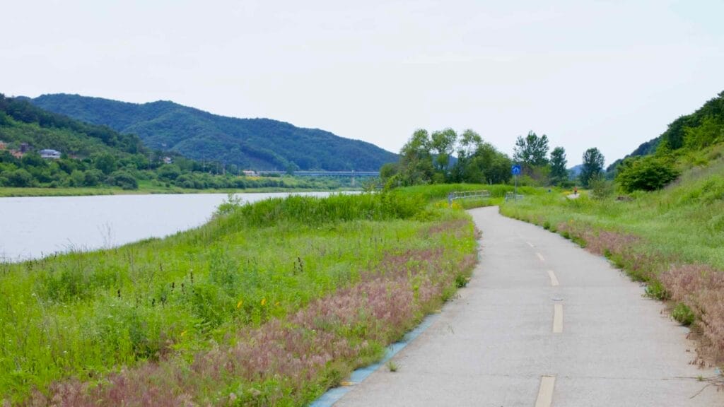 A quiet bicycle path winds along the Geum River.