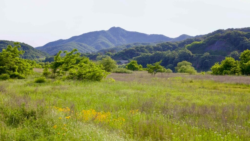 valley