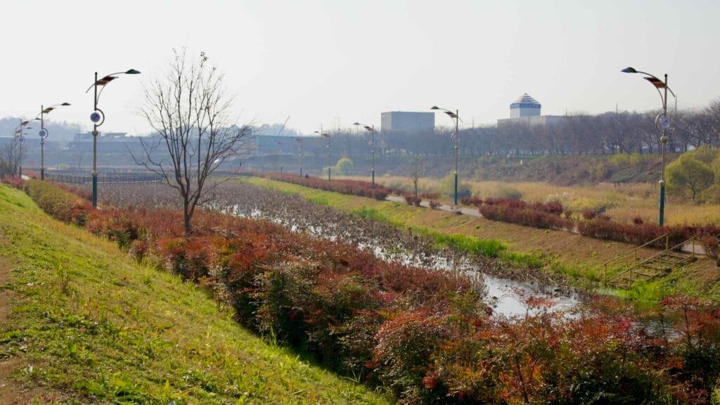 wetlands