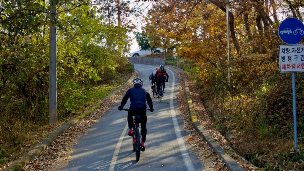 bicycle path