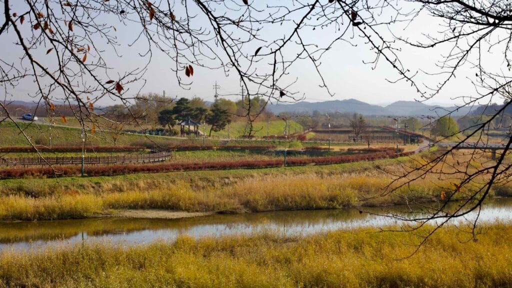 wetlands
