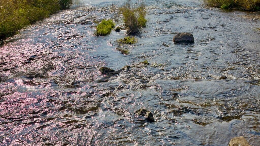 waterscape