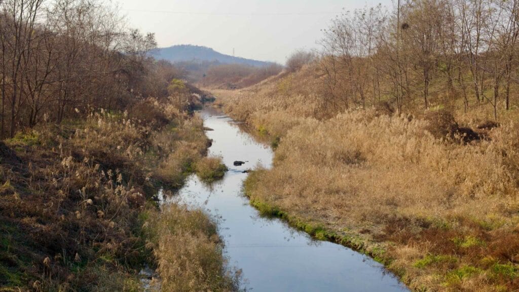 untouched nature