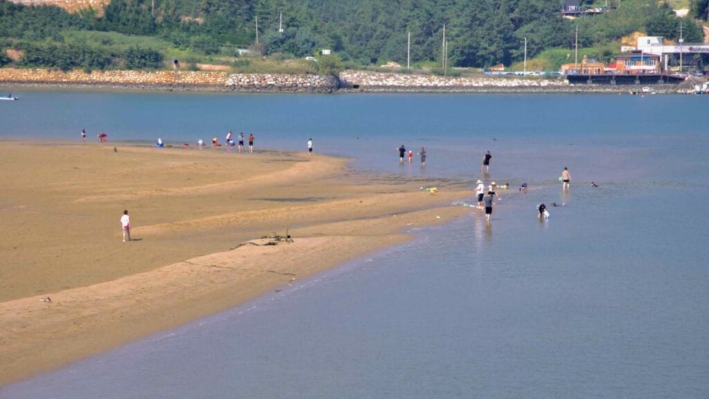 Families and visitors walk along the sandbar at low tide in Baealdo Waterfront Park, wading through shallow waters and enjoying the exposed tidal flats of the Seomjin River estuary.