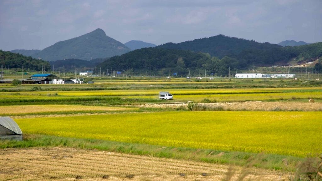 sustainable farming