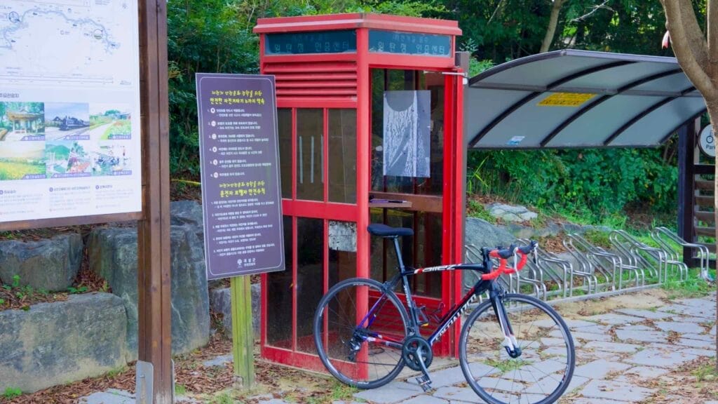 cycling culture