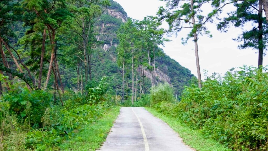 untouched nature