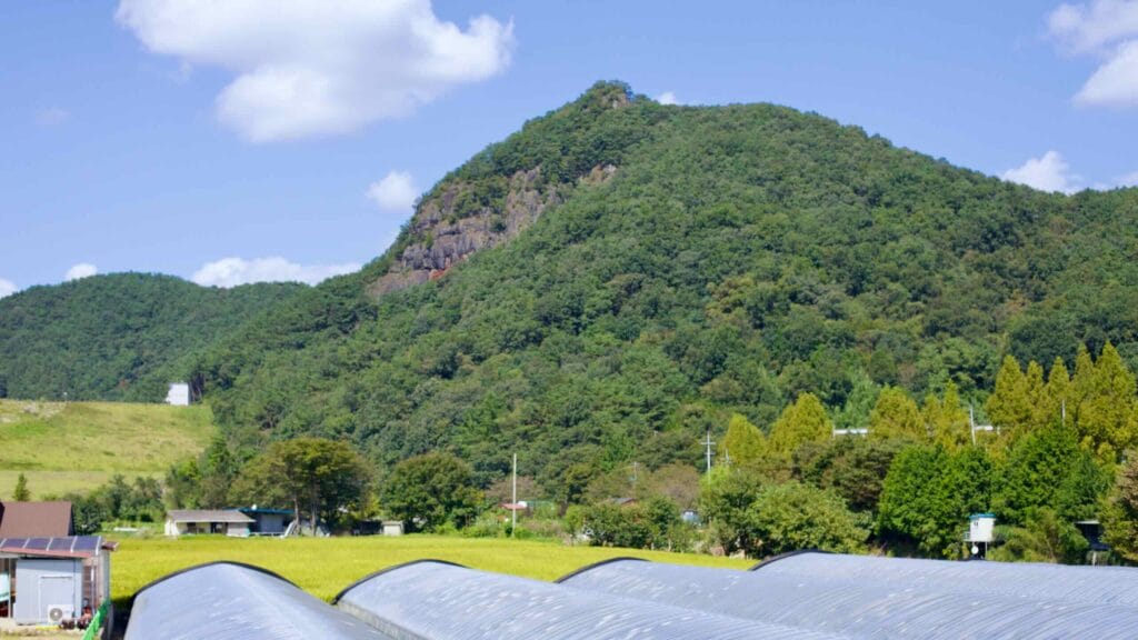 sustainable farming