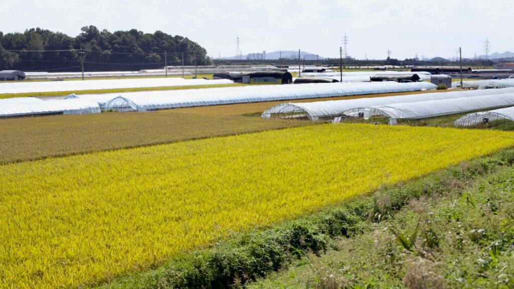sustainable farming