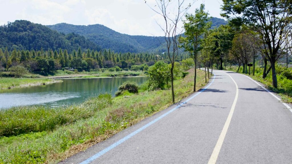 Smooth paved cycling path runs alongside the Yeongsan River through lush greenery.