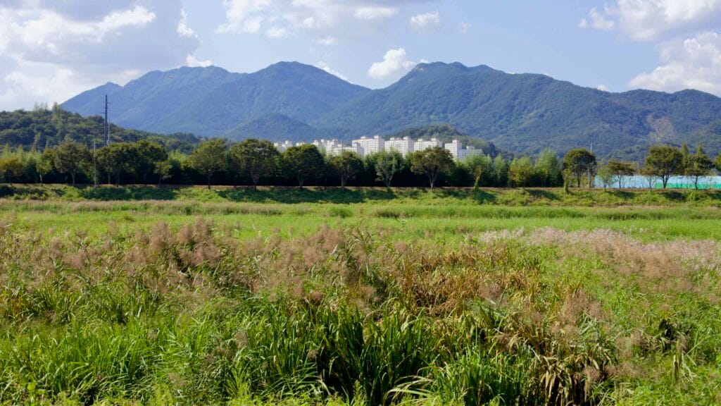 panoramic view